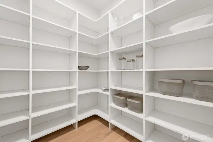 Massive walk-in pantry.
