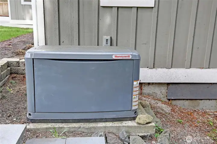 Auto Back-Up Generator (Propane or Gas)~