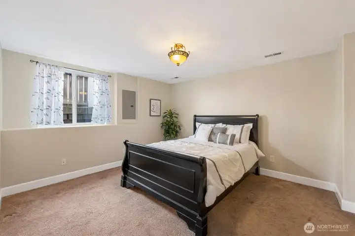 downstairs bedroom with window well