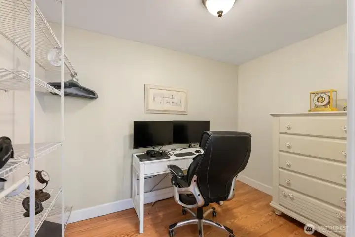 downstairs bedroom walk-in closet