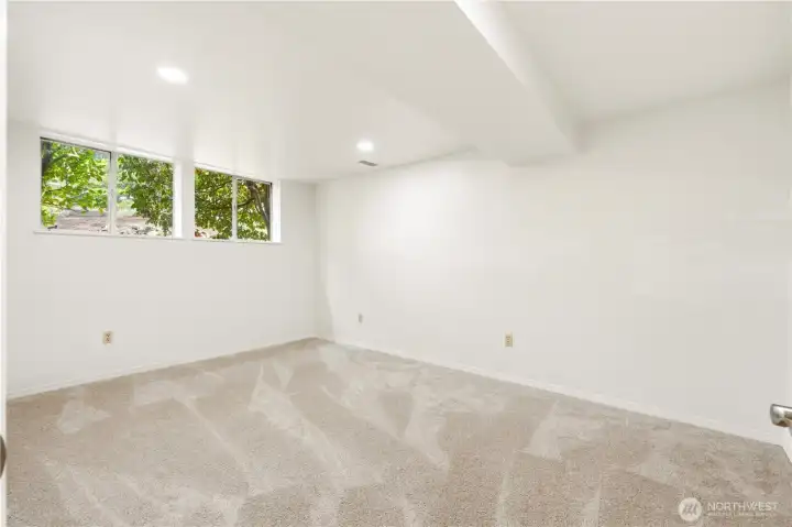 Lower Level Bedroom