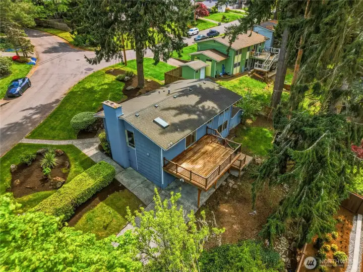 Large Lot