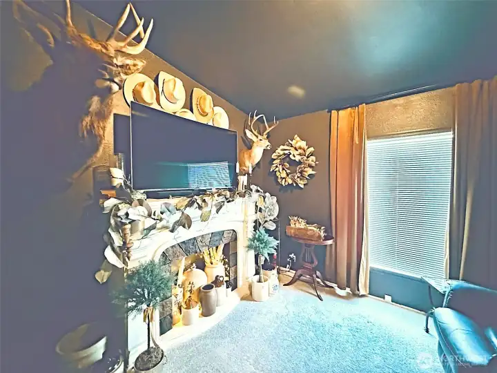 Second bedroom currently is used as a cozy family room, rich moody paint, wall of storage can be converted back to bedroom closet view from doorway