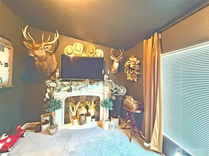 Second bedroom currently is used as a cozy family room, rich moody paint, wall of storage can be converted back to bedroom closet view from storage wall