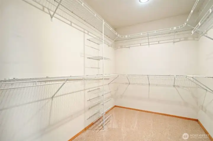Primary closet with closet shelves and fresh carpets.