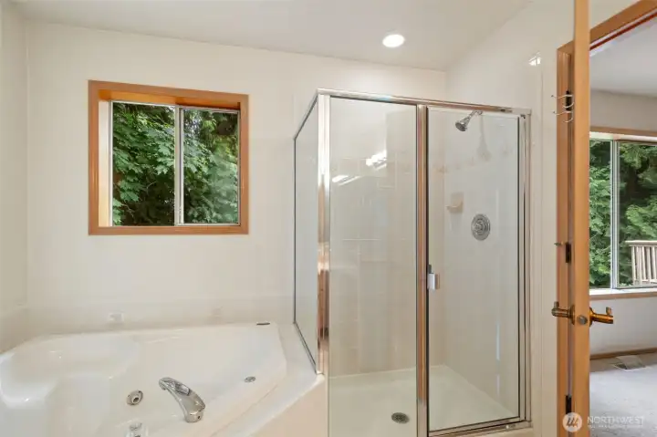 Large primary bathroom with separate soaking tub and shower.