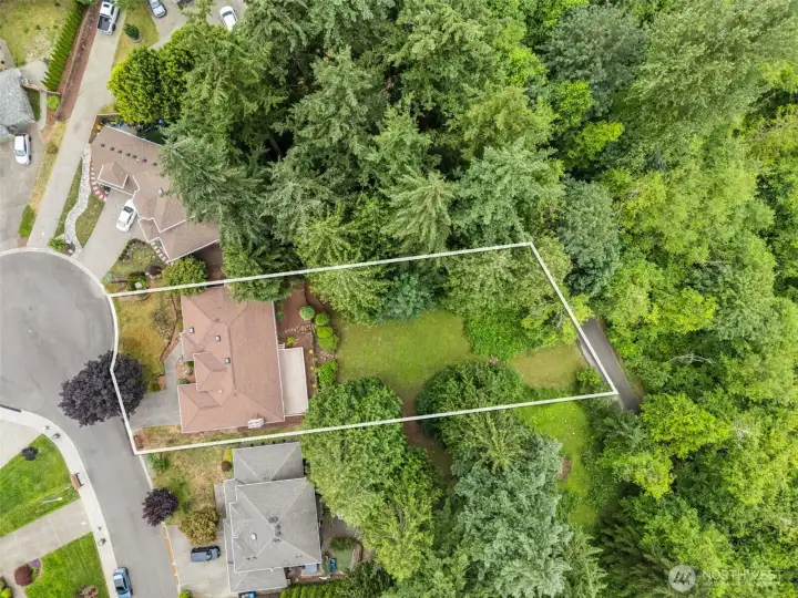 Photographers outline of the large 17,241 sq ft lot!