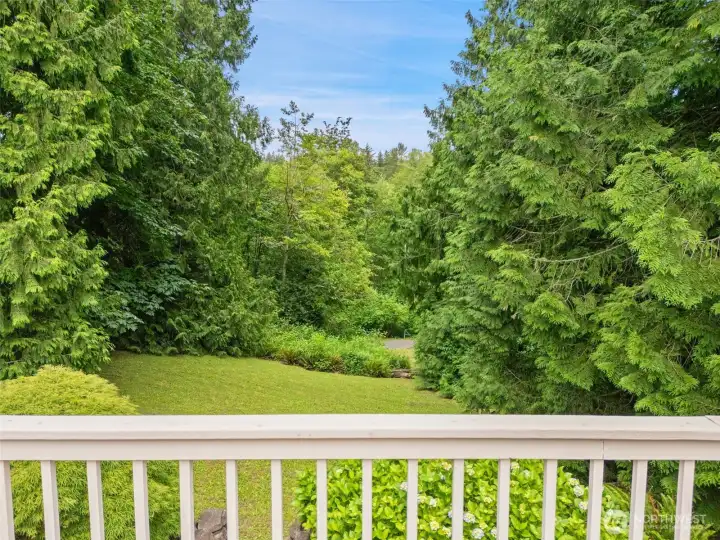 Private lush view off back deck, family room and kitchen.