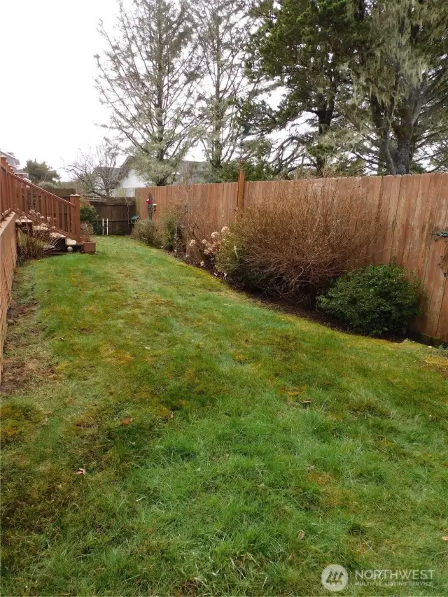 Fenced Backyard with plants, bushes and birds