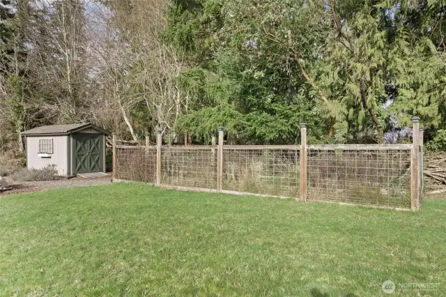 Shed and garden area.