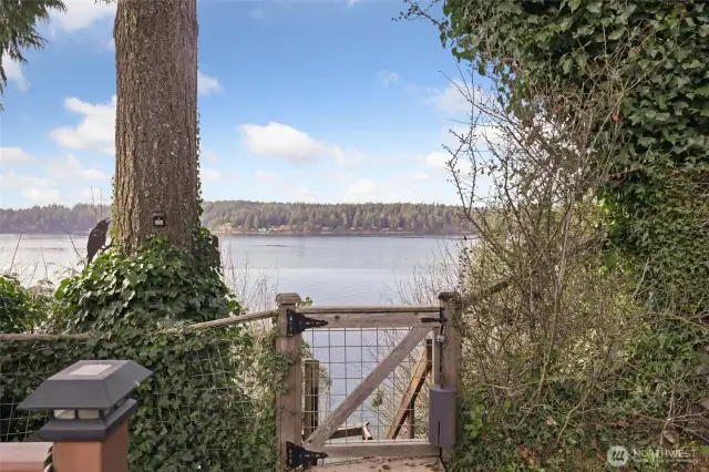 View from deck.