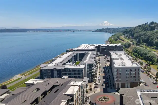 View Mt Rainier from Waterfront (2022)
