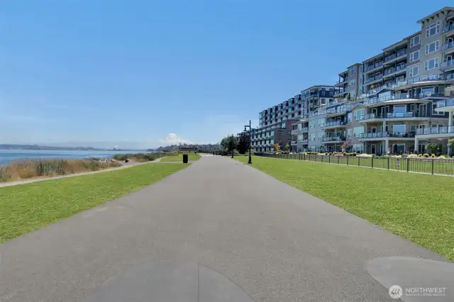 Beautiful Waterfront Paths (2022)
