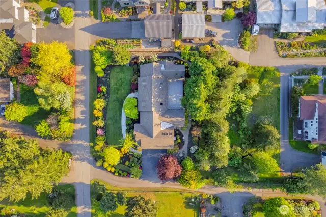 A view from above.