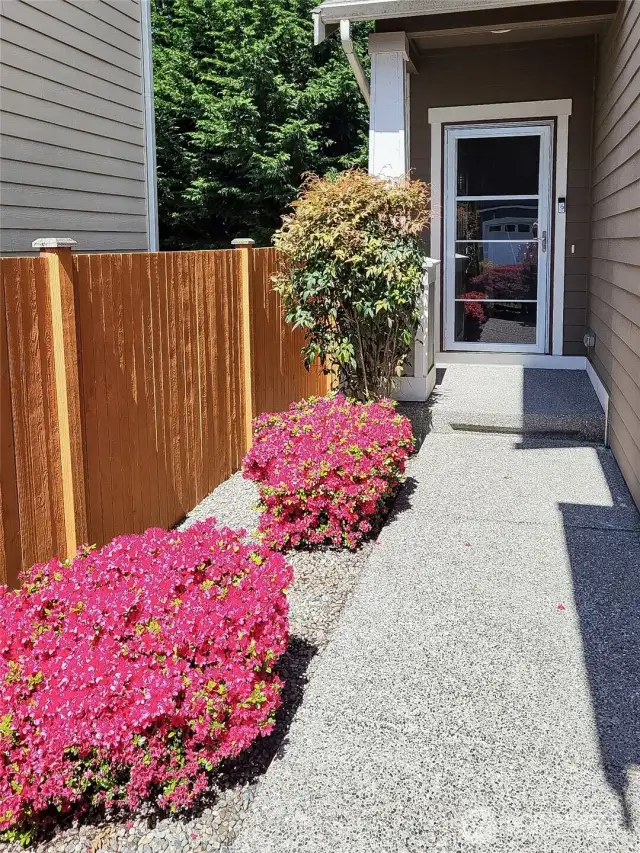 The spring color greets you upon approaching the front door.