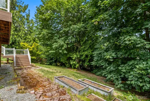 Backyard with raised beds