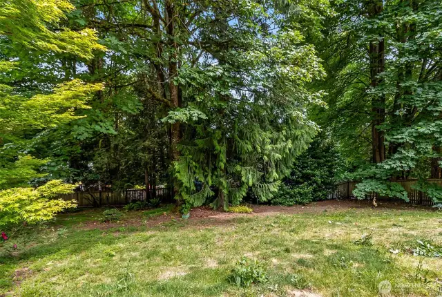Fully fenced backyard