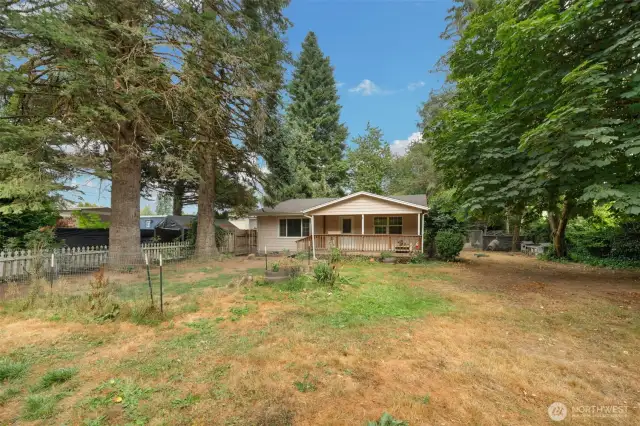 Front Yard