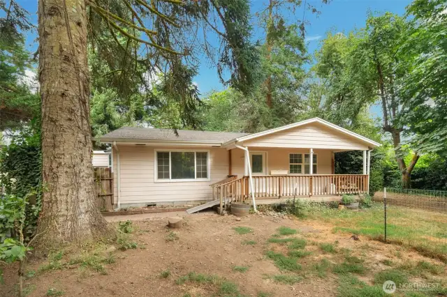 Front Yard