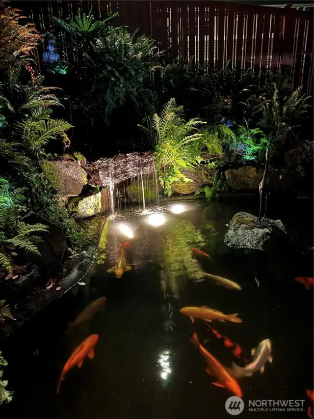 Japanese Koi Pond lit up at night. Pond has a water pump system that brings in water from the lake which then flows along the side of the home back into the lake.
