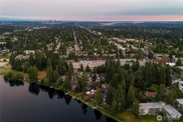 Downtown Seattle in distant left. Your new home front and center amidst the lush evergreen canopy. A luxurious oasis in the city!