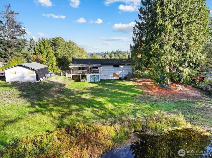 Large and lush backyard
