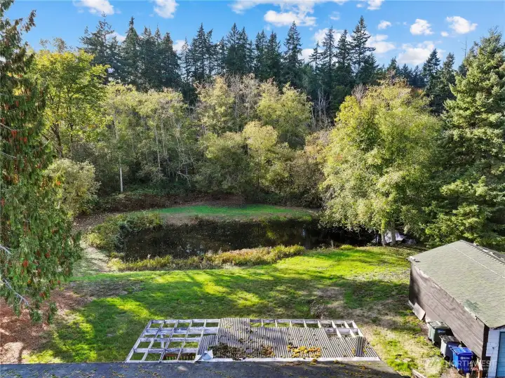 Your own private oasis