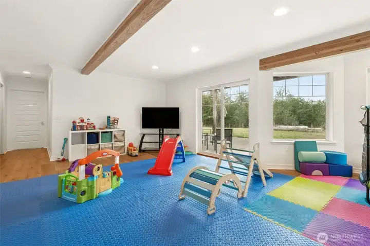 large open living/play/theatre area on lower level