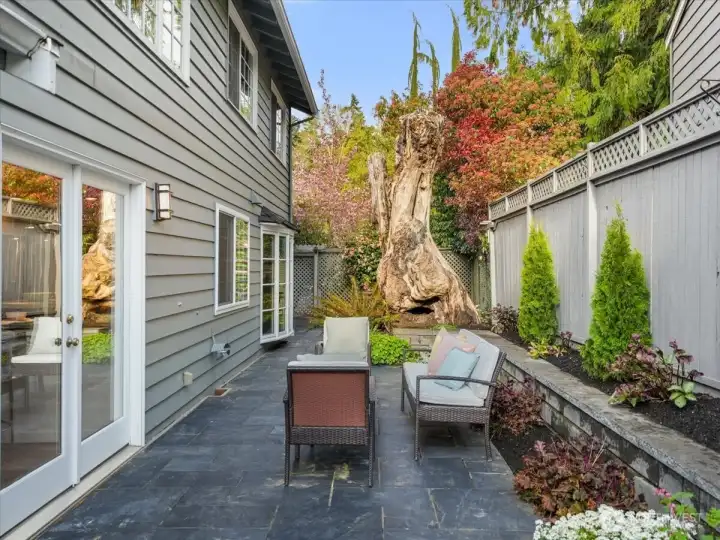 A second set of French doors opens to another inviting outdoor entertaining space, set beside a striking, sculptural tree trunk that feels like a work of art.