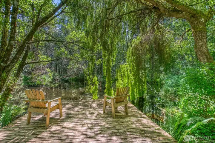 Beautiful forest trails lead to the pond with viewing platform.