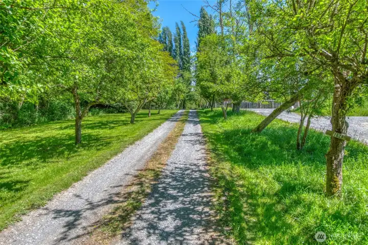 Entry drive to Frog Song Farm