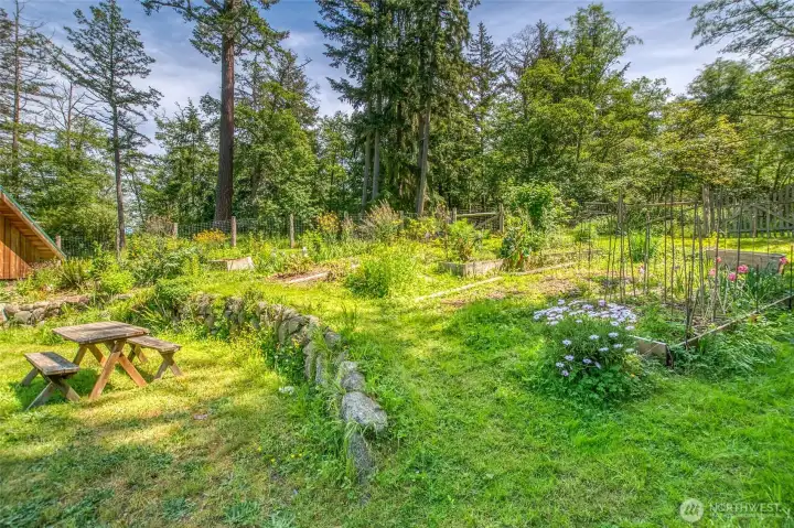 Kitchen garden located near the music studio and house with a path to the pond.