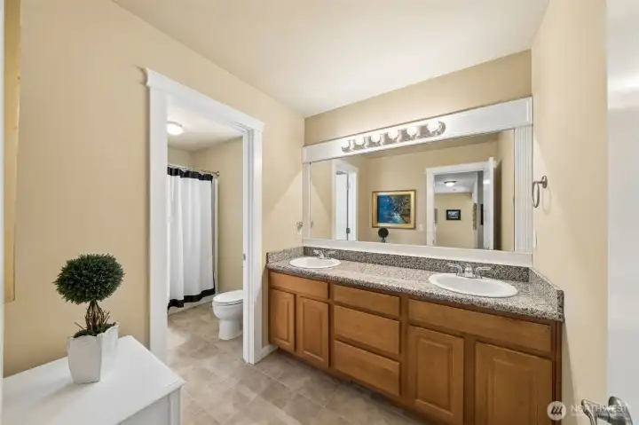 Main bath upstairs