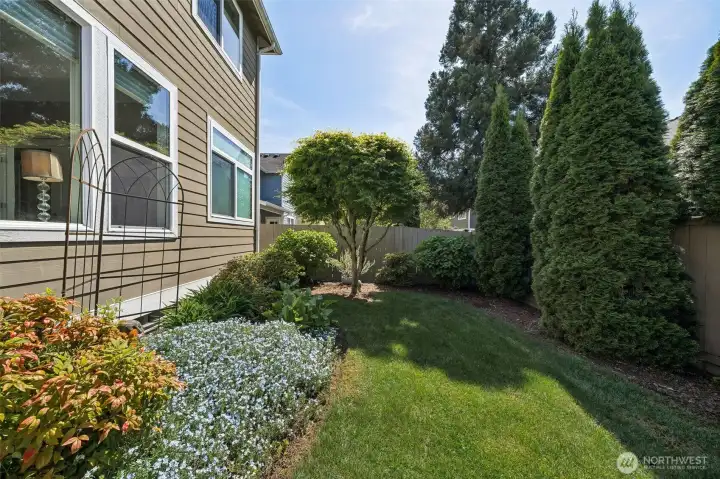 Private back yard