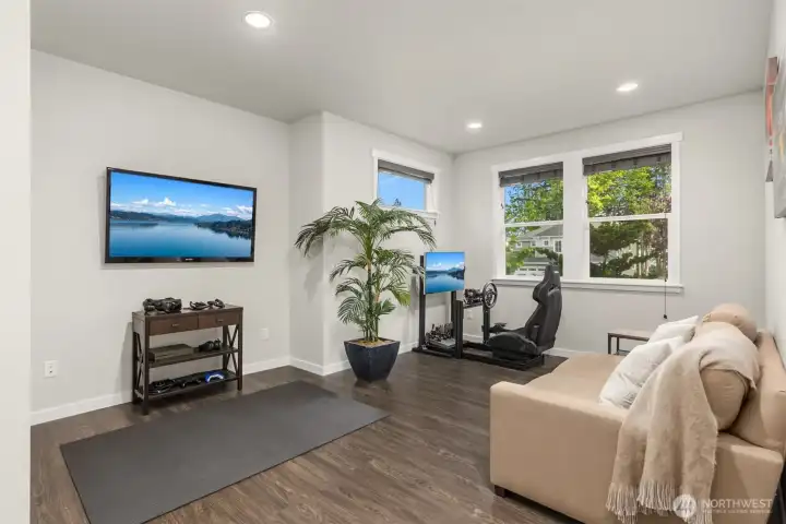Lower level media room or office.