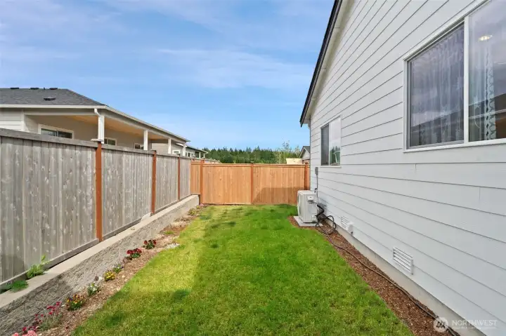Lush Side Yard Grass Lush Side Yard Grass