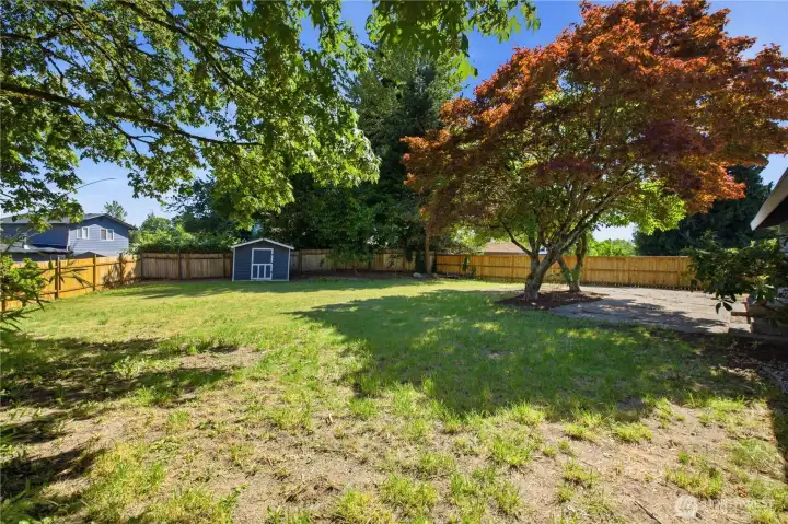 Huge backyard