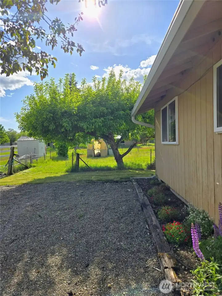 Side yard