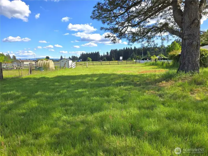 Side field