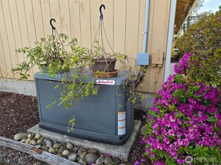 Whole house generator