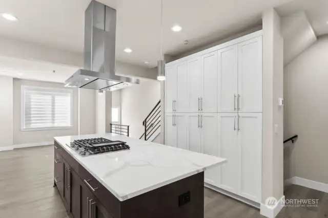 Look at all that pantry cabinet space!