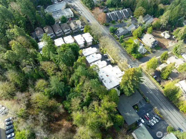 Nestled amongst the trees.