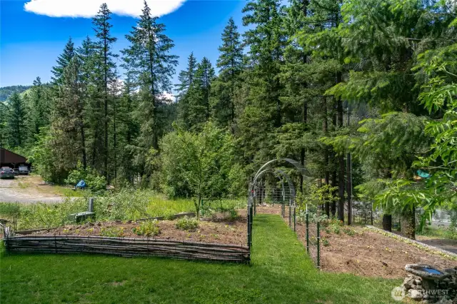 Garden Space