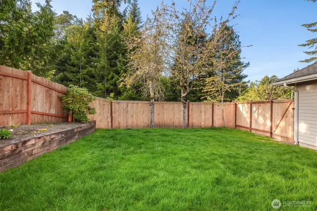 Beautiful backyard