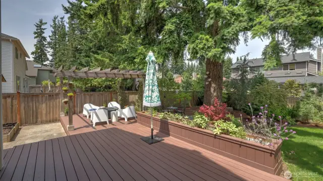 Step out onto this expansive wooden deck, offering ample space for entertaining, gatherings, and outdoor dining. Encircling the deck is a built-in, customizable planter—perfect for creating your own vibrant garden oasis