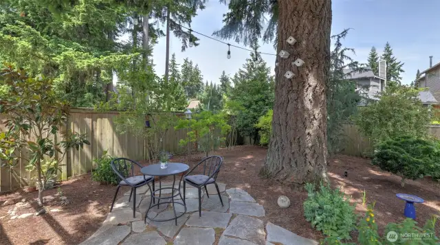Tucked beneath a canopy of greenery, this hidden backyard seating area is adorned with whimsical string lights weaving through the trees—creating a magical, intimate retreat perfect for morning coffee or a peaceful nighttime escape