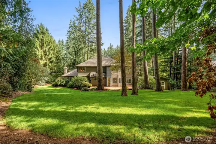 Spacious backyard with mature trees.