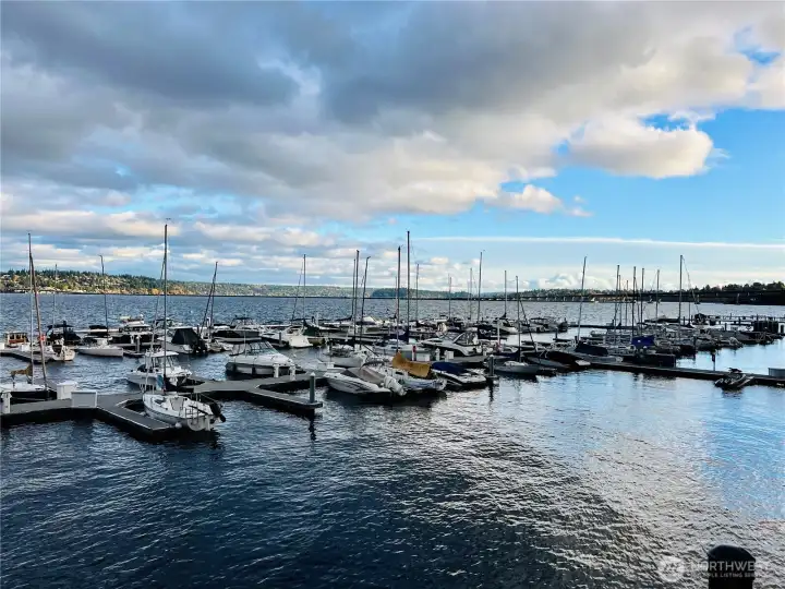 Leschi Marina just a few blocks away.