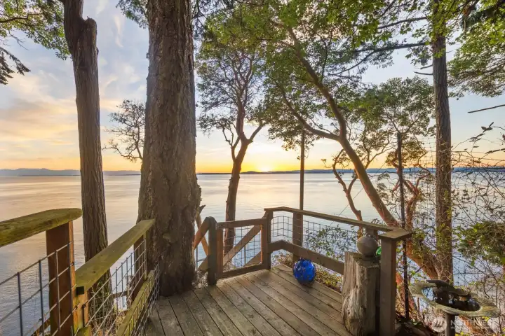 Secluded waterfront sitting area nestled among mature trees, creating an intimate place to experience the rhythm of coastal living.