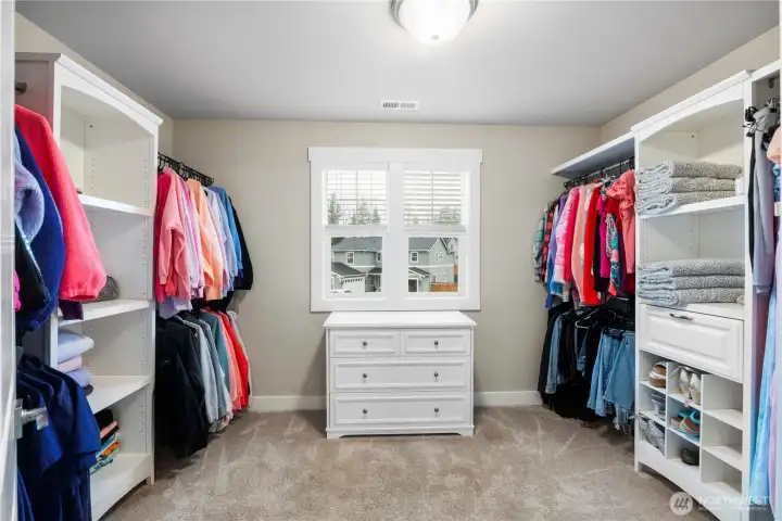 Huge closet with built-ins